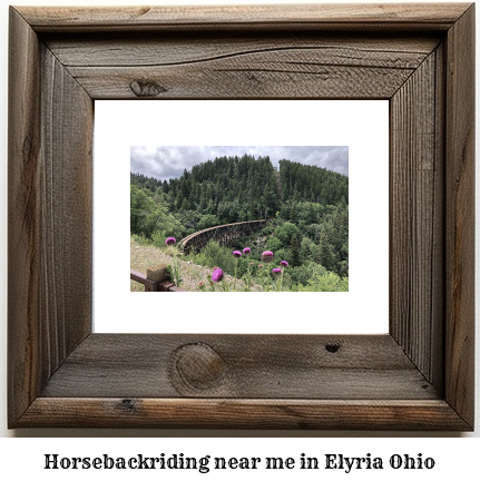 horseback riding near me in Elyria, Ohio